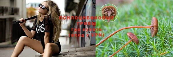 каннабис Алексеевка