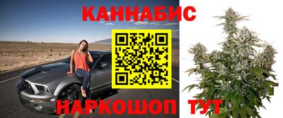 стафф Пыть-Ях
