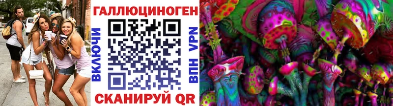 Псилоцибиновые грибы Cubensis  купить наркотики сайты  Курганинск 