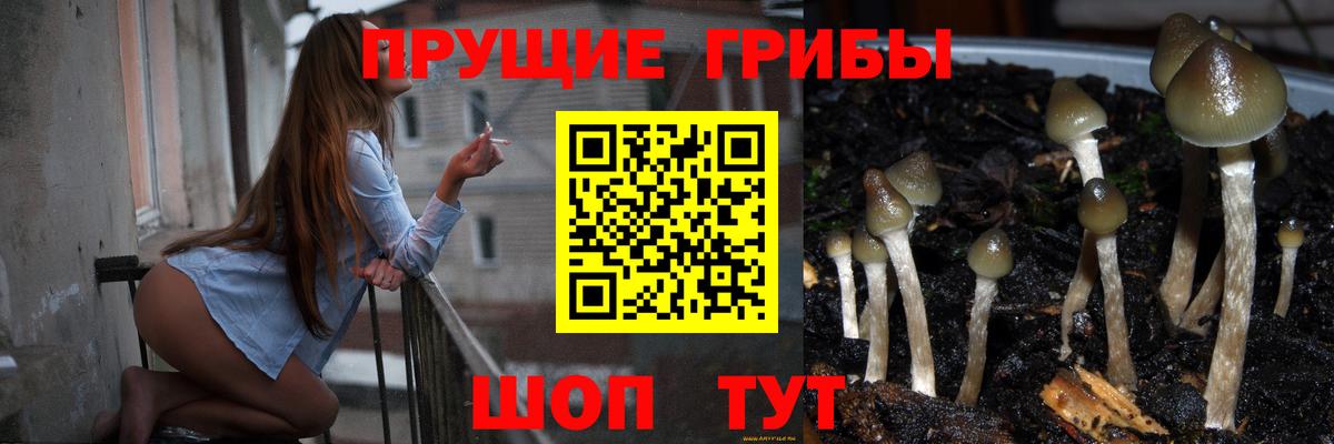 Курганинск  Псилоцибиновые грибы GOLDEN TEACHER  Галлюциногенные грибы ЛСД  Вход с VPN 